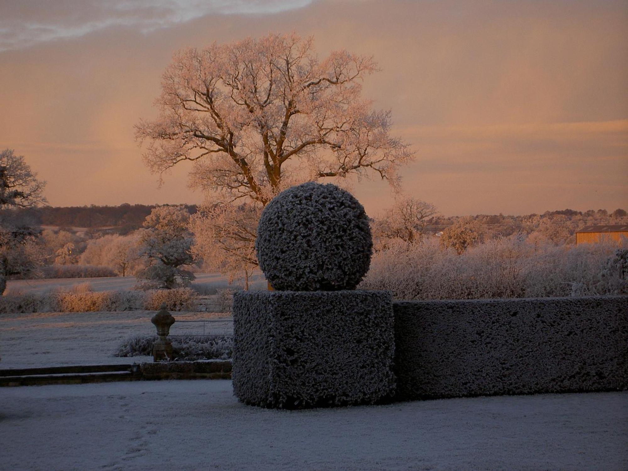 Manor Farm Egerton Bed & Breakfast Malpas  Rom bilde
